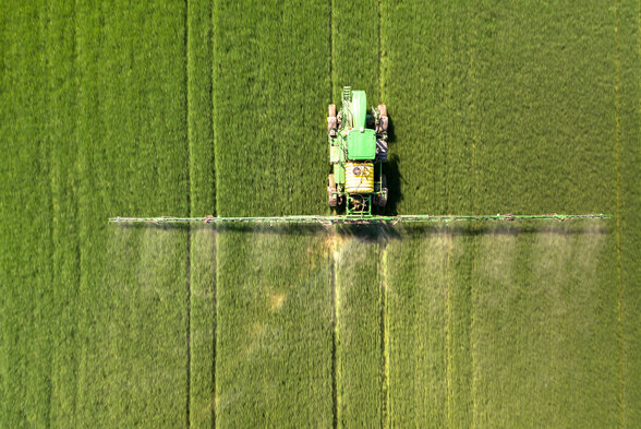  - Agrandir l'image, fenêtre modale