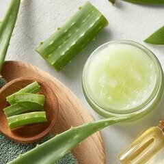  - Agrandir l'image, fenêtre modale