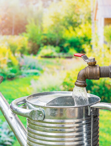 Atelier nature. Une ressource à préserver: l'eau au jardin