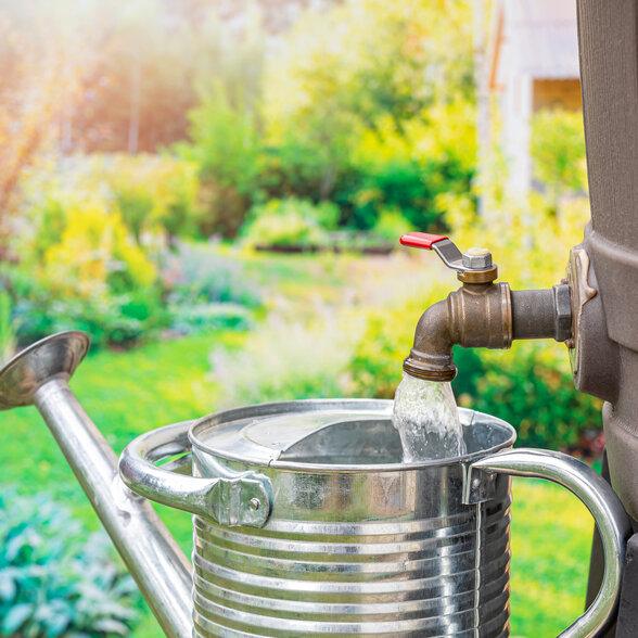  - Agrandir l'image, fenêtre modale